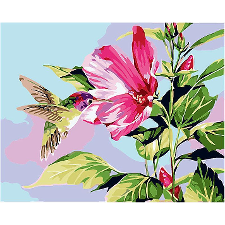 Hummingbird Paint By Numbers