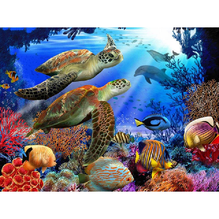 Paint By Numbers Turtle Kits
