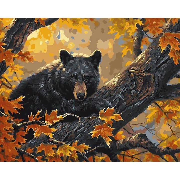 Paint By Numbers Bear