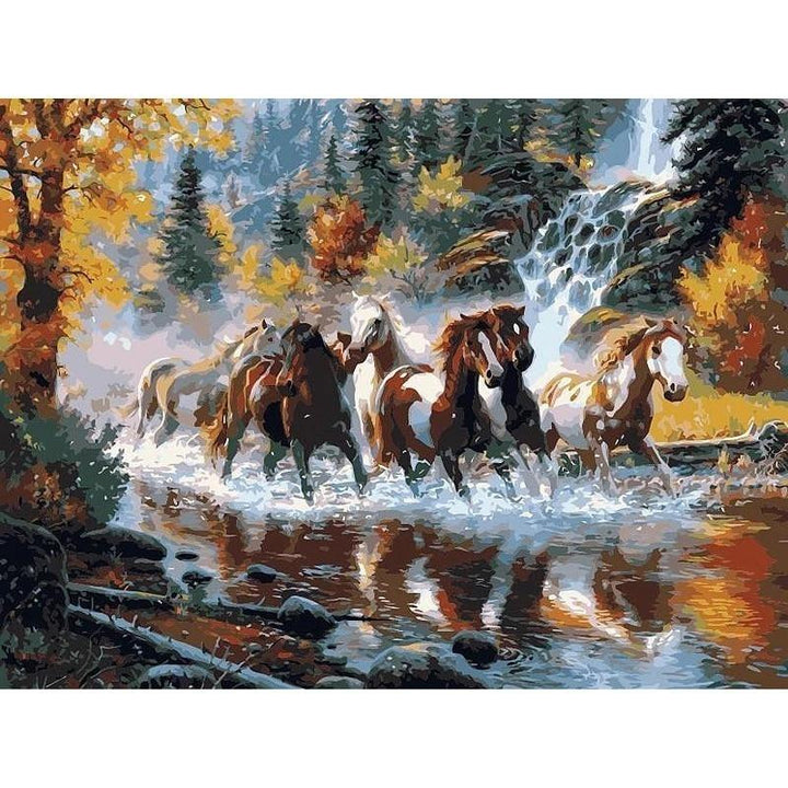 Paint By Numbers Horse