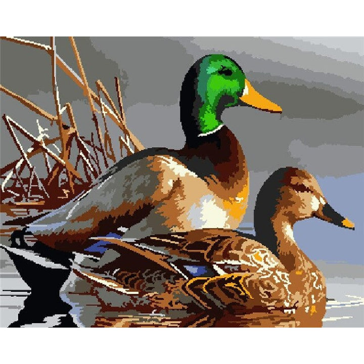 Paint By Numbers Ducks