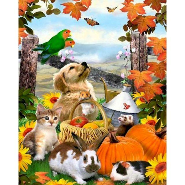 Pet Paint By Numbers
