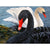 Couple Of Black And White Swans Paint By Numbers