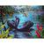 Couple Of Black Swans Paint By Numbers Kit