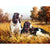 Dogs at Outdoor Adventure Paint by Numbers