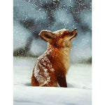 Paint By Numbers Young Fox