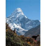 Mountain Goats Paint By Numbers Kit
