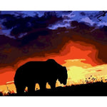 Bear Shadow Paint By Numbers