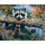 Raccoon On Tree Branch Paint by Numbers 