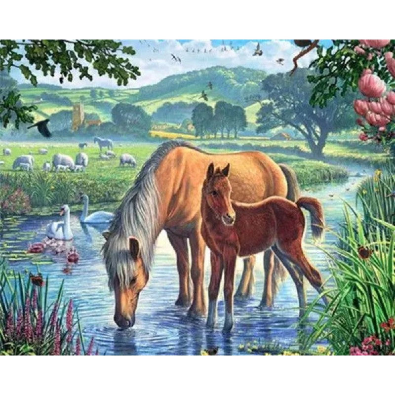 Horses Drinking In River
