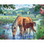 Horses Drinking In River