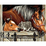 Horses and Grey Cats