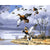Migration of Duck Paint By Numbers Kit