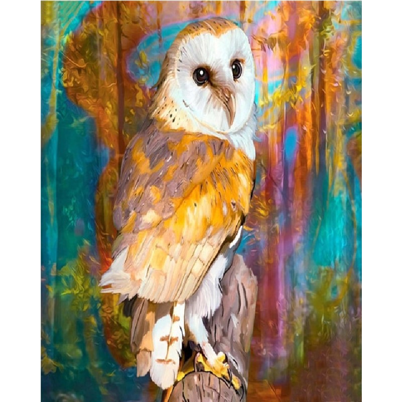 Owl Paint By Numbers