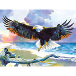 Paint By Numbers Eagle On A Beach