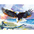 Paint By Numbers Eagle On A Beach