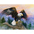 Paint By Numbers Eagle On A Log