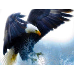 Paint By Numbers Fantastic Eagle