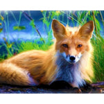 Paint By Numbers Old Fox