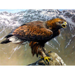Paint By Numbers Raptor On A Rock