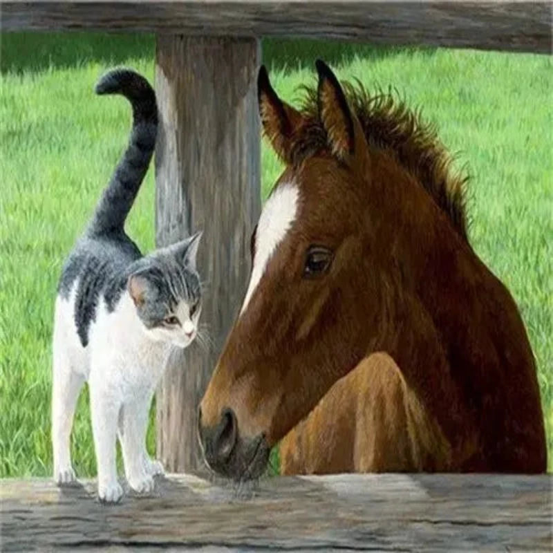Cat And Her Friend Brown Horse Paint by Numbers