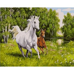 Majestic Running Horse Paint by Numbers