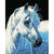White Mustang Paint By Numbers Kit