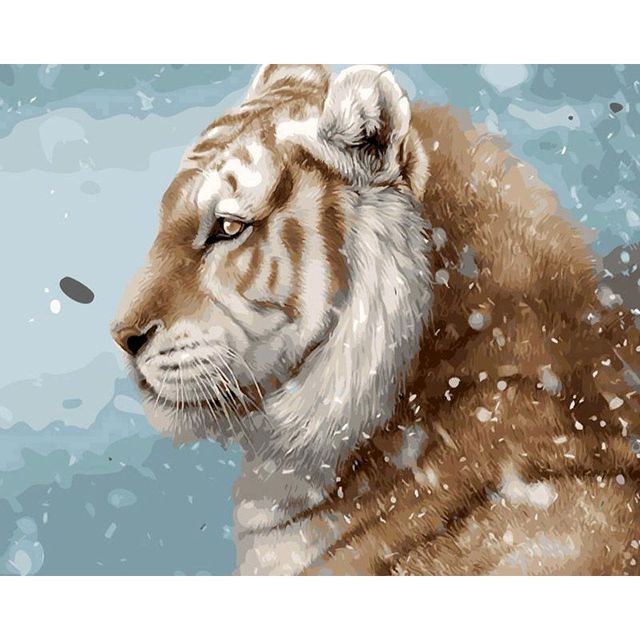 Tiger And Snow