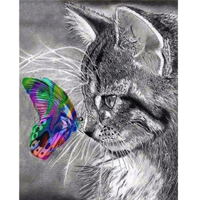 Paint By Numbers Kitten And Butterfly