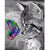 Paint By Numbers Kitten And Butterfly