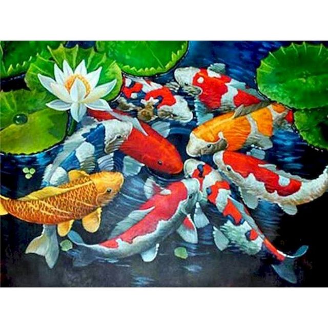 Paint By Numbers Koi Fish And Lotus