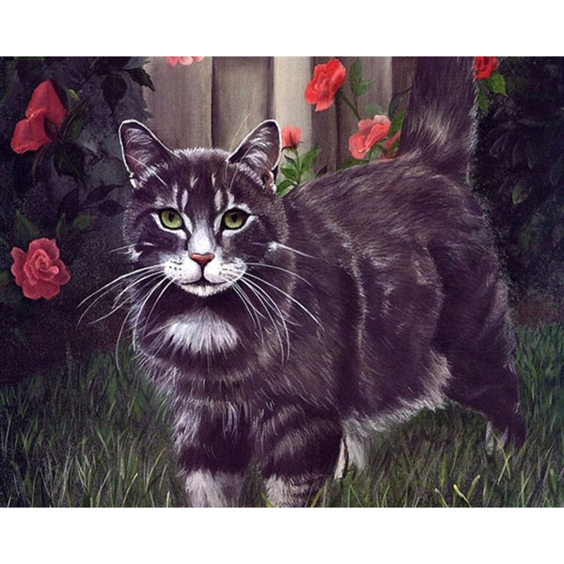 Paint By Numbers Cat In Garden