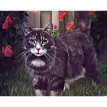 Paint By Numbers Cat In Garden