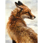 Paint By Numbers Back Fox