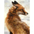 Paint By Numbers Back Fox