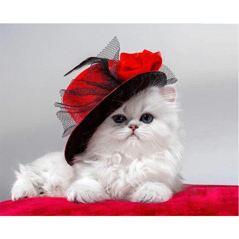 Paint By Numbers Cat With Hat