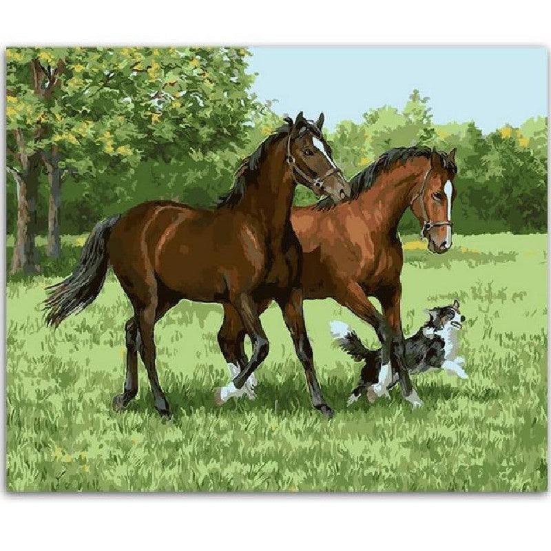 Farm Horses Paint By Numbers