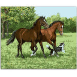 Farm Horses Paint By Numbers