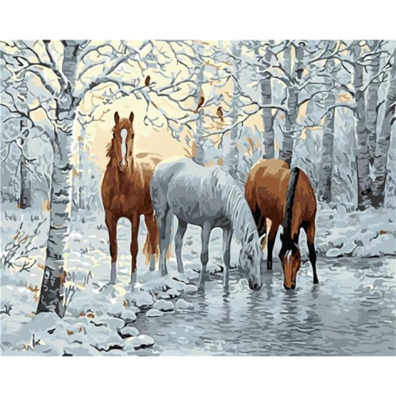Paint By Numbers Horse Pictures