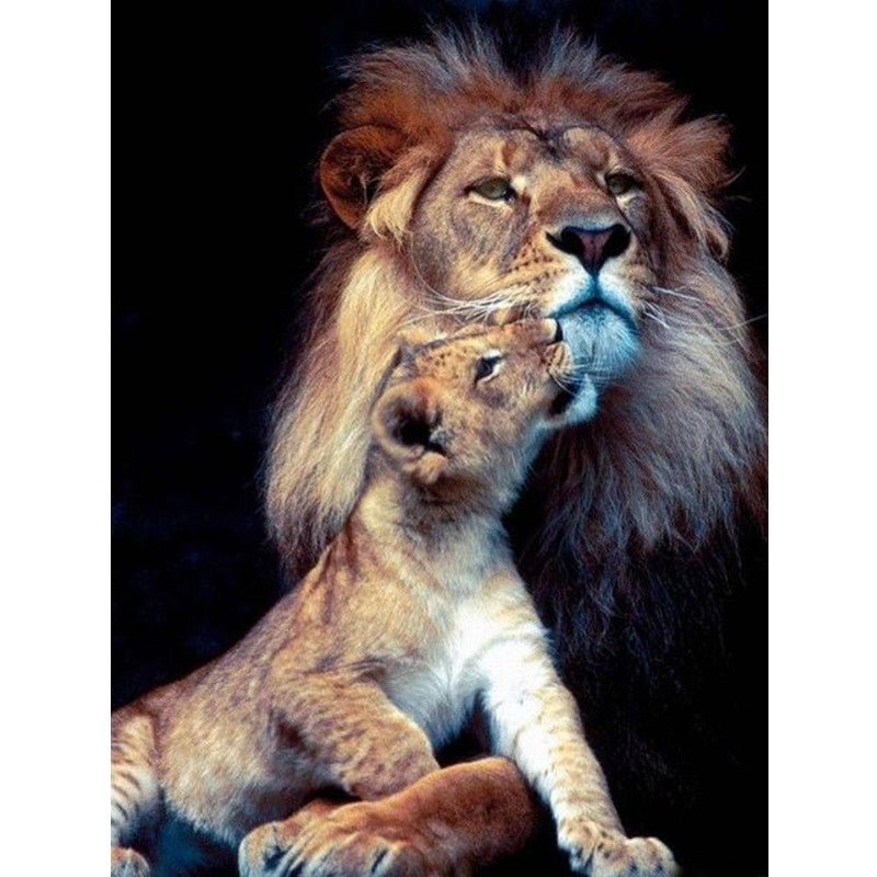 Lion Cub Paint By Numbers
