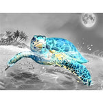 Paint By Numbers Blue Turtle