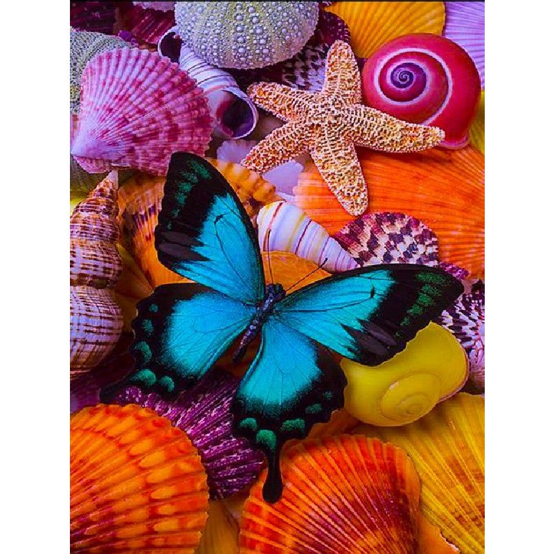 Paint By Numbers Butterfly And Starfish