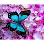 Paint By Numbers Butterfly On Pink Flower
