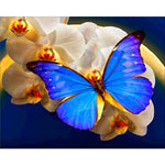 Paint By Numbers Butterfly On White Flowers