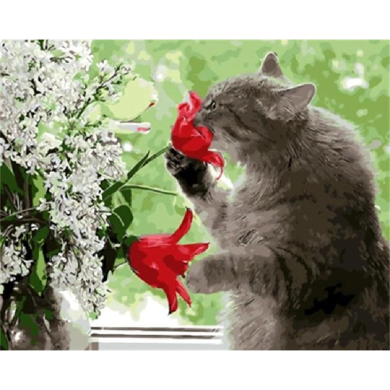 Paint By Numbers Cat Red Flowers