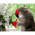 Paint By Numbers Cat Red Flowers