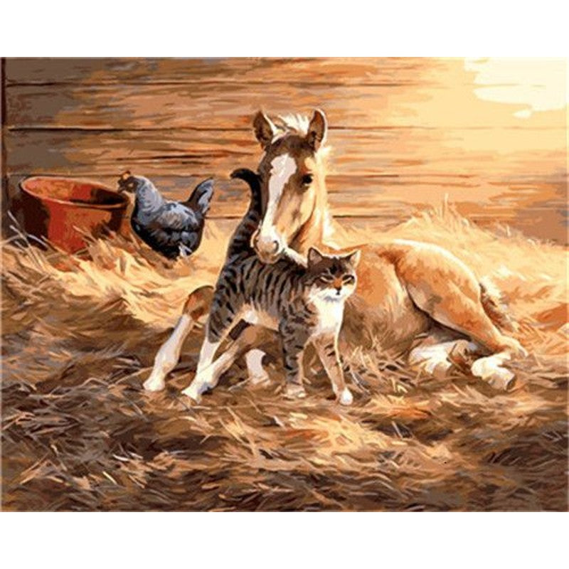 Paint By Numbers Foal And Cats