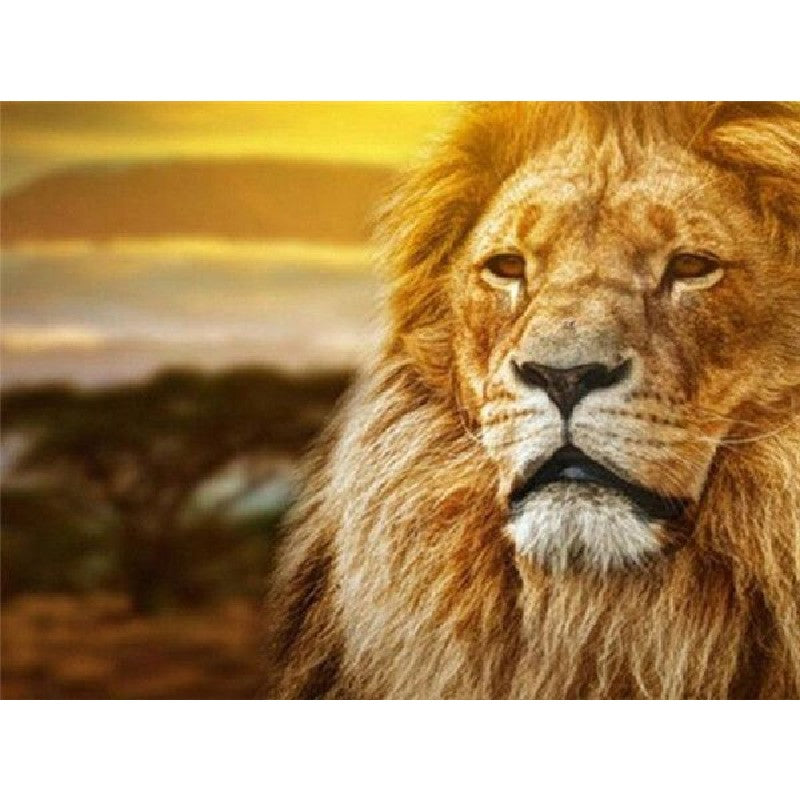 Paint By Numbers Lion Face