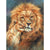 Paint By Numbers Lion Love
