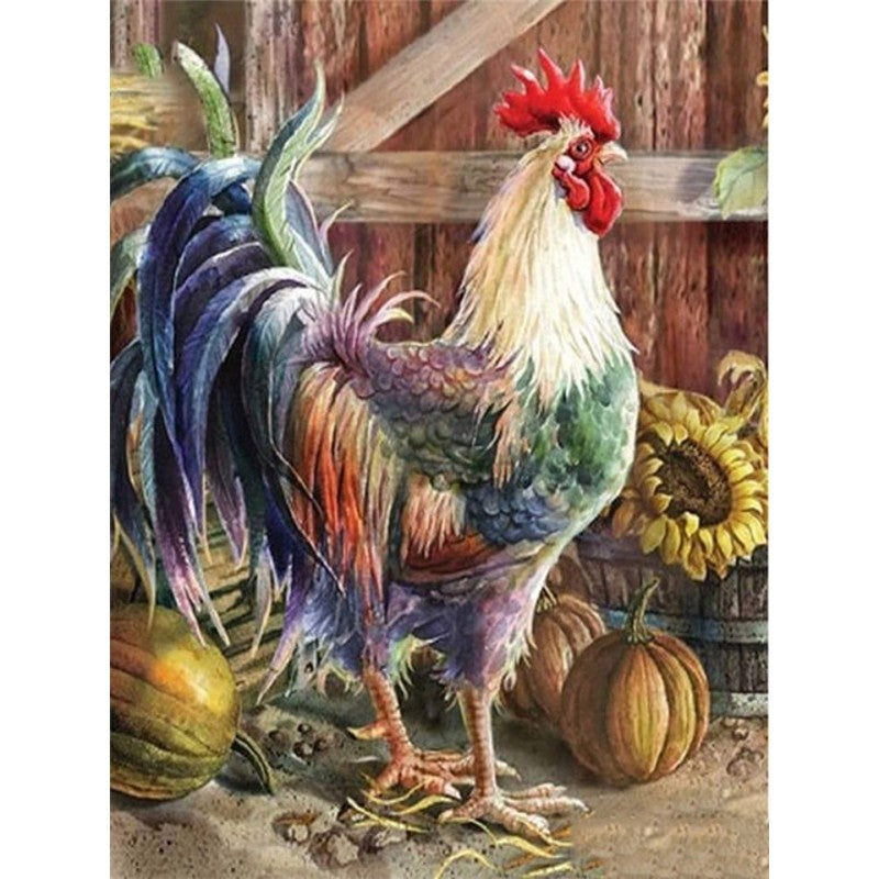 Paint By Numbers Old Farm Rooster